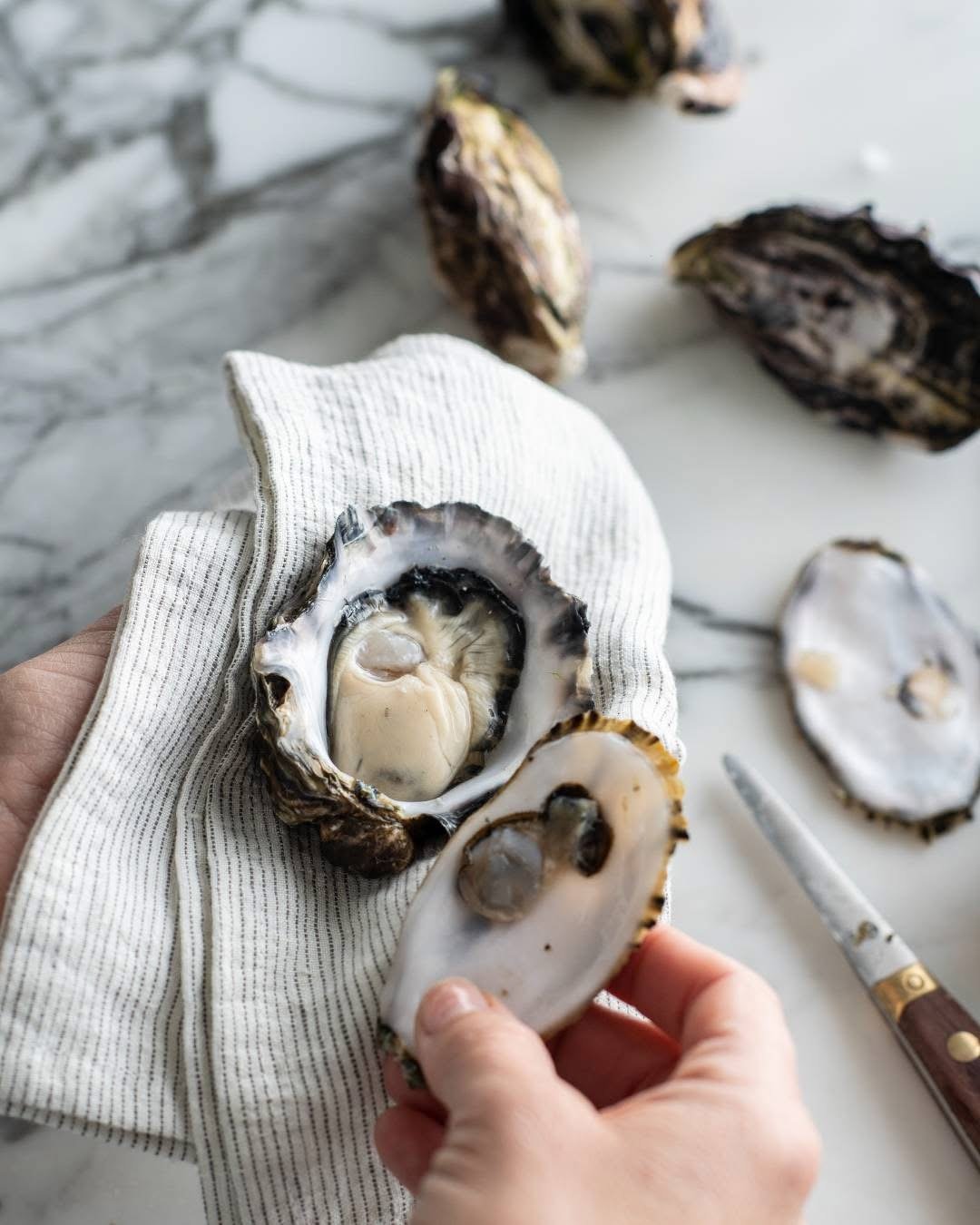 Wild Sydney Rock Oysters